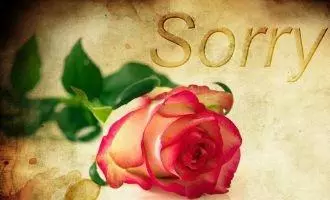 Rose mit Schrift Sorry. Vergeben und Verzeihen in einer Partnerchaft ist so wichtig.